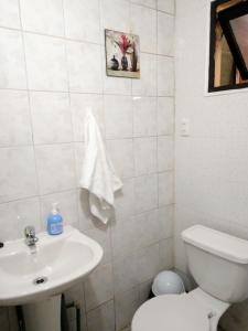 a white bathroom with a sink and a toilet at Patagon Backpackers in Coihaique