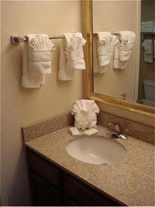 y baño con lavabo, espejo y toallas. en Staybridge Suites Indianapolis-Airport, an IHG Hotel en Plainfield