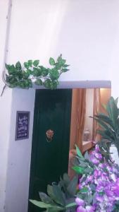 una porta verde con una pianta sopra, accanto ai fiori di Le petite fleur a Verbania