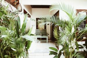 a room filled with lots of green plants at Kalua Boutique Bungalows in Gili Trawangan