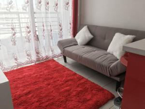 a living room with a couch and a red rug at Depto Metro Cal y Canto in Santiago