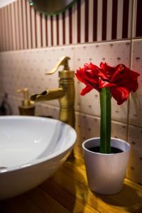 コストロマにあるАрт-отель Скворечникの白鉢の赤花