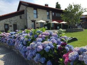 Zahrada ubytování Apartamentos El Hospital de Villahormes