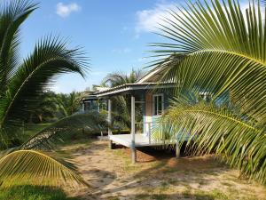 une maison sur une plage avec des palmiers dans l'établissement Baan Suan Coconut Ko Yao Noi, à Ko Yao Noi