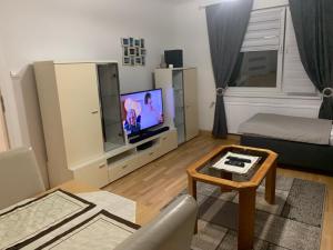Μια τηλεόραση ή/και κέντρο ψυχαγωγίας στο VEA Vienna Apartment
