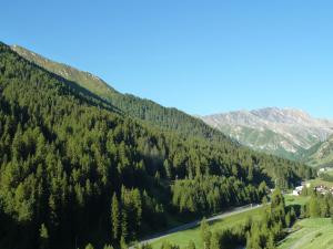 a mountain with trees and a river in a valley at Chasa Sulai Appartements in Samnaun