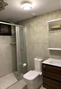 a bathroom with a shower and a toilet and a sink at Arenal Dream The Beachfront Paradise in Jávea