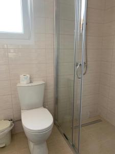 a bathroom with a toilet and a glass shower at Zuzanna Apartment in Patitiri +5 photos