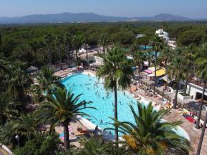 een luchtzicht op een zwembad van het resort met palmbomen bij Camping Resort La Baume La Palmeraie in Fréjus