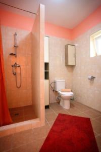 La salle de bains est pourvue d'une douche et de toilettes avec un tapis rouge. dans l'établissement Penzion Tři Koruny - budova Valerie, à Havraníky