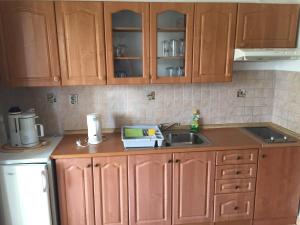 Kuchyň nebo kuchyňský kout v ubytování Villa Vidovic Apartments Bella Vista Mare