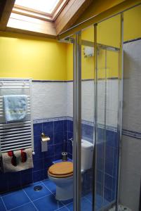 a bathroom with a toilet and a glass shower at CORRAL DEL PRAJONCILLO in Valdecasa