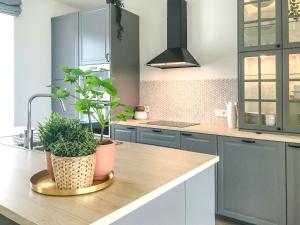 a kitchen with a potted plant on a counter at Het Boomkwekerijhuis in Zonnebeke