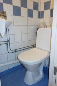 
a white toilet sitting in a bathroom next to a shower at Hotell Svanen in Kalmar
