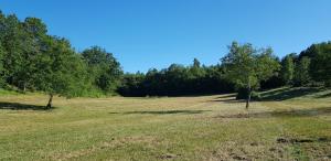 ein großes Feld mit Bäumen im Hintergrund in der Unterkunft Les Granges Indigo in Fossemagne