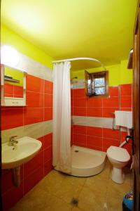 a bathroom with a toilet and a sink at Chuchi Guest House 1 in Zlatna Panega