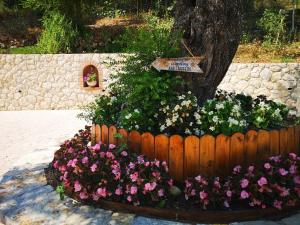 a wooden fence with flowers in front of a tree at Nikoli Apartments in Benitses