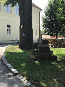 Ogród w obiekcie Landhaus Nitsch Appartement - Gästehaus Nitsch Appartement