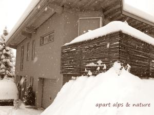 Fotografie z fotogalerie ubytování Apart Alps & Nature See