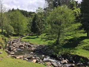 a stream in a field with trees and grass at Beynon&Bolton’s Country Loft Escape in Katikati