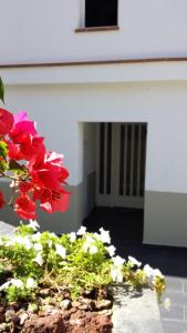 a pot of red and white flowers in front of a building at Apartaments Josep Pla in Roses