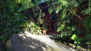 Jardín al aire libre en Guest house Posada Ixchel