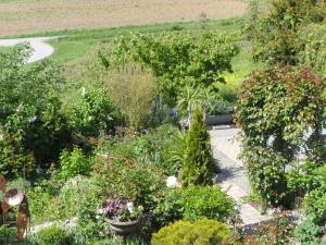 einen Blick über einen Garten mit Pflanzen und Bäumen in der Unterkunft roggele bei beck in Stetten + 4 Fotos