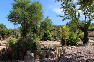 un jardín con rocas, plantas y árboles en M A S L A P A U Country Hotel - Adults only, en Lliber