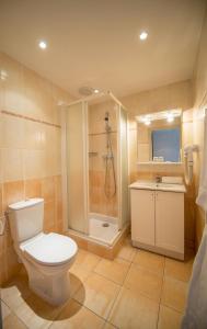 een badkamer met een toilet, een douche en een wastafel bij Appart Hotel Lou Castelet in Carros