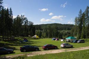 a group of cars parked in a field with tents at Kempings Ozolkalns in Cēsis