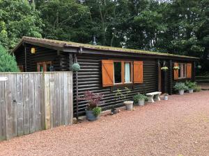 una piccola cabina in legno con recinzione e piante in vaso di Rock Lodge ad Alnwick