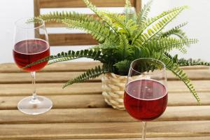 twee glazen rode wijn naast een potplant bij Caparica Sea View Apt by be@home in Costa da Caparica