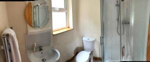 uma casa de banho com um chuveiro, um lavatório e um WC. em Glendona Cottage em Crumlin