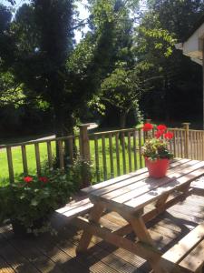 Glendona Cottage في كروملين: طاولة نزهة خشبية عليها زهور حمراء