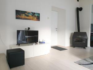 a living room with a tv and a fireplace at Alex Apartments in Kruševo