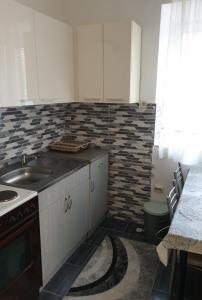 a kitchen with a sink and a counter top at Alex Apartments in Kruševo