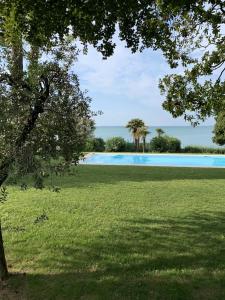 a large swimming pool in a grassy field at Appartamenti Villa Andrea in Garda