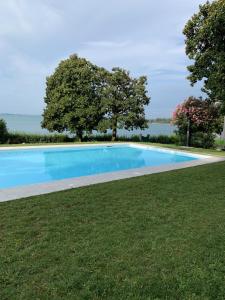a large blue swimming pool in a grass field at Appartamenti Villa Andrea in Garda
