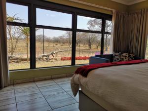 ein Schlafzimmer mit einem Bett und einem großen Fenster in der Unterkunft Crimson Bush Lodge in Klipdrift