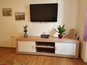 TV a/nebo společenská místnost v ubytování Apartment Korina in Rijeka city center