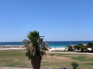 a palm tree on a beach with the ocean in the background at PRADO PLAGE in Marseille