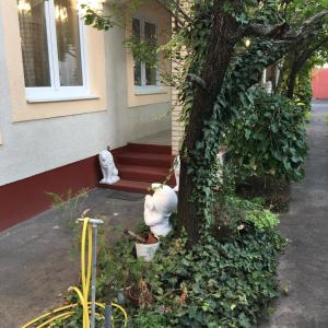 Vonkajšia záhrada v ubytovaní Stella Apartman