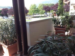 un balcone con un mucchio di piante in vasi di HOME DI CRISTINA a Laives