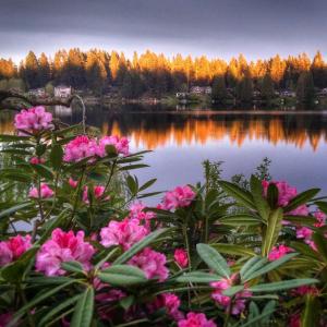 Gallery image of Cottage Lake Bed and Breakfast in Woodinville
