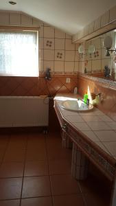 a bathroom with a sink and a window at U Bola in Debrzno
