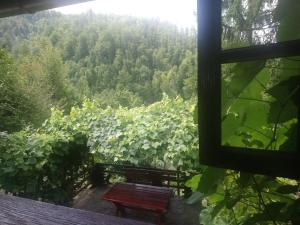 MandićiLittle heaven 2的相册照片