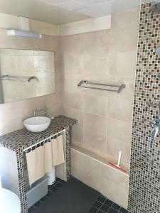 a bathroom with a sink and a shower at beau meublé centre historique in Bordeaux