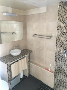 a bathroom with a sink and a shower at beau meublé centre historique in Bordeaux +24 photos