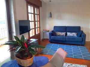 a living room with a blue couch and a plant at Apartamentos Ria de Aldan in Aldán