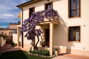 a house with a purple flowering tree in front of it at Casa Il Glicine a due passi dal centro in Siena
